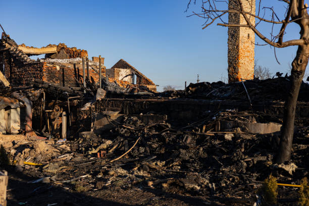 Reliable Content Restoration contractor in Kingston, WA by Fire Damage Doption